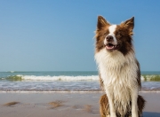 雷火电竞网址-钝刀变利刃！斯通斯化身破壁机，委内瑞拉惊险碾过南非钢丝网