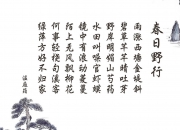 雷火电竞亚洲先驱-孤勇者的独白，2026世界杯E组焦点战，京多安以一己之力导演智利力克瑞士的史诗逆转