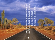 雷火电竞亚洲先驱-当世界冠军提前加冕，巴雷拉的上帝之鞭与2026美利坚铁幕