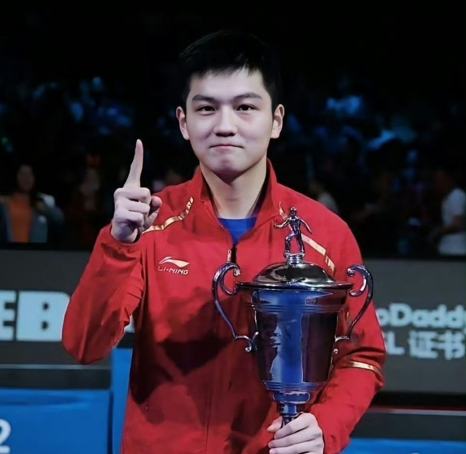 奥地利乒乓球队翻盘波兰乒乓球队,王皓送出助攻的简单介绍 奥地利乒乓球队翻盘波兰乒乓球队,王皓送出助攻的简单介绍