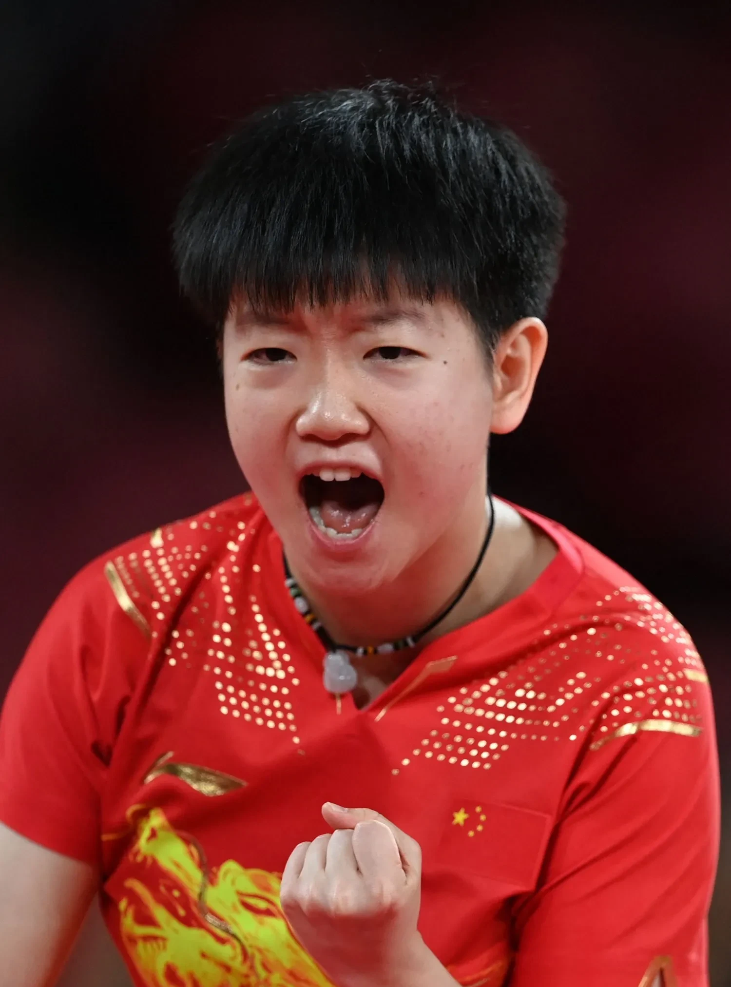 瑞典乒乓球队爆冷法国乒乓球队，许昕惊艳世界的简单介绍