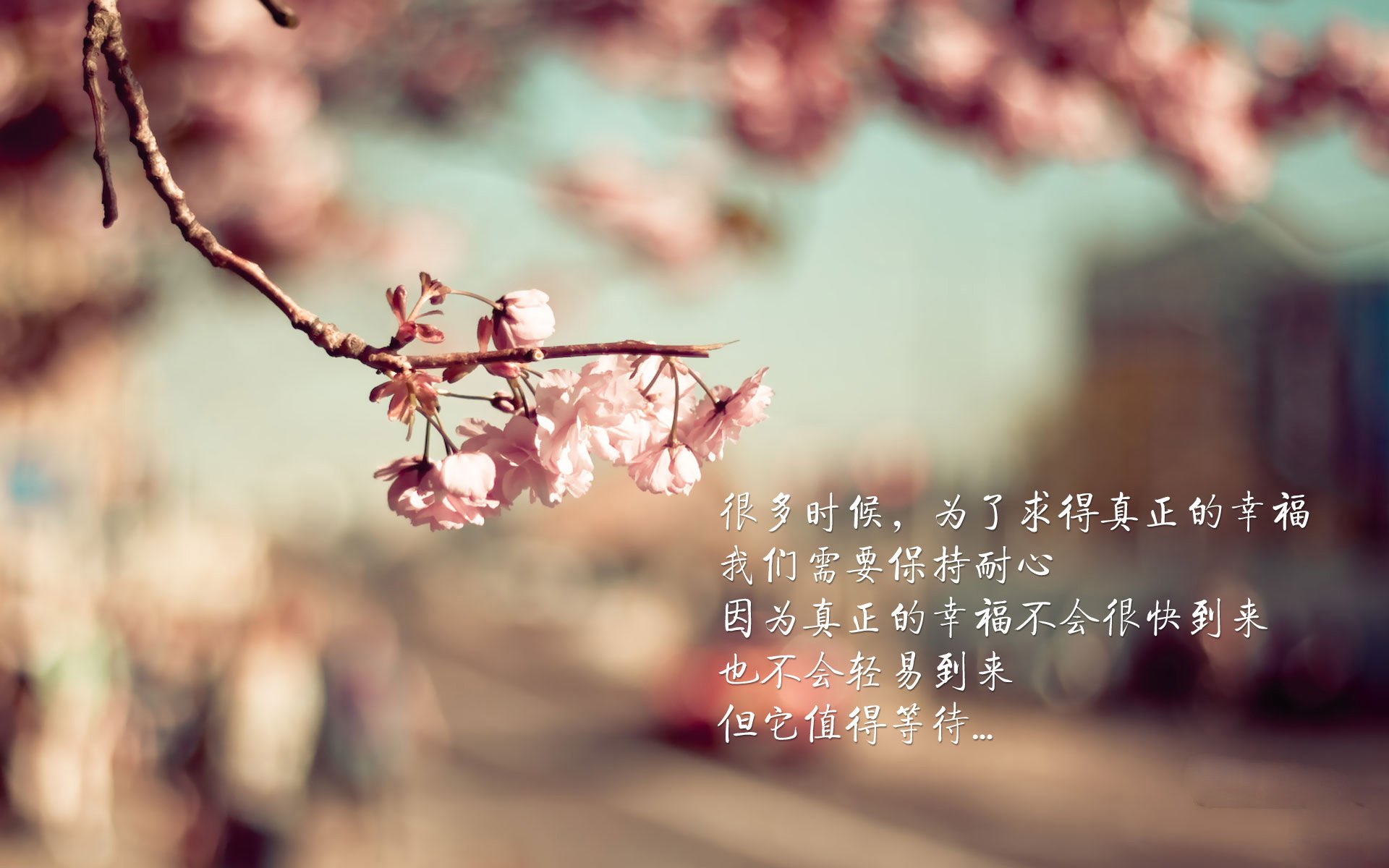 意甲焦点战之夜，广东队压哨击败魔术的跨界启示