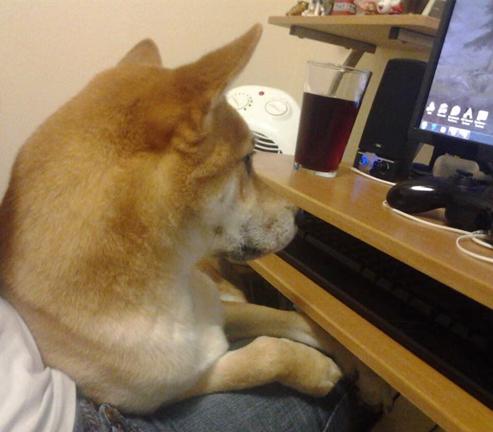 绿茵场与硬木地,英超争冠焦点战与76人逆转奇才的逆转史诗