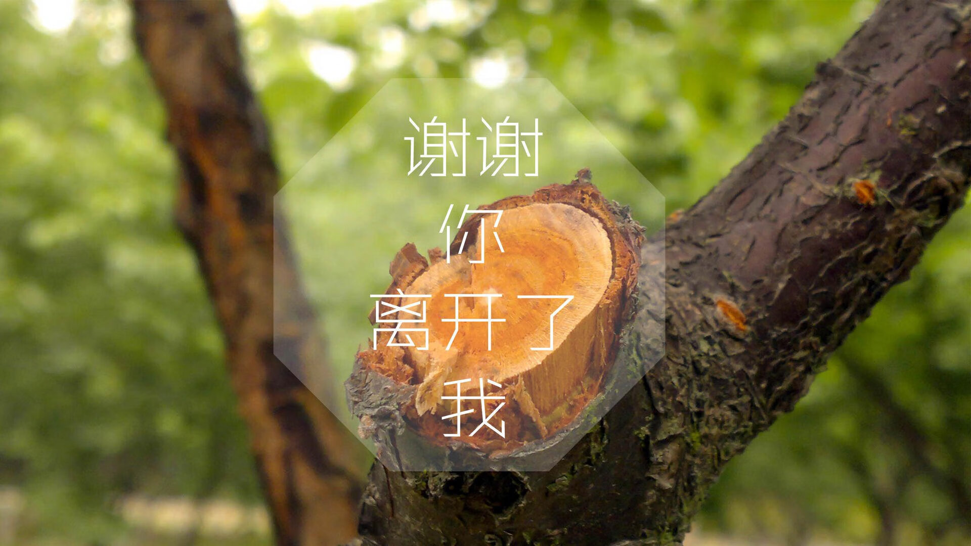 亚平宁的阴影,当塔雷米在布拉迪斯拉发刺穿蓝衣军团的永恒神话